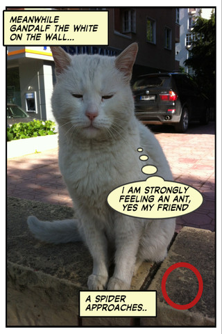 mza_2537403409061937883.320x480-75