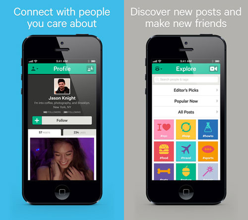 vine2