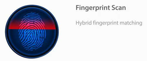 fingerprint-scan