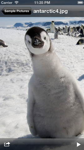 mzl.puftzwxk.320x480-75