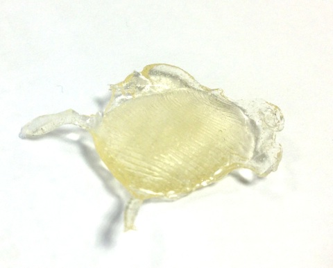 macgpic_1380024149_scaled_optim