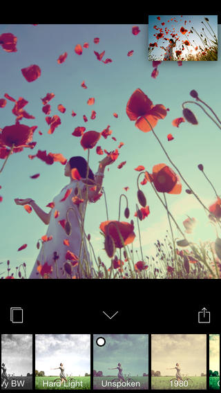 screen568x568 (5)