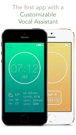 vocalarm pro