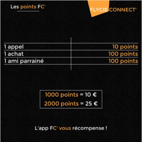 flycie points