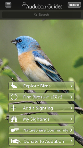 bon-plan-audubon-bird-guide