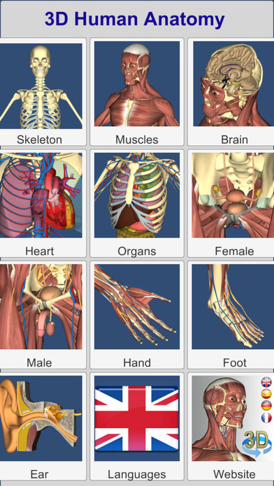 3D-human-anatomy