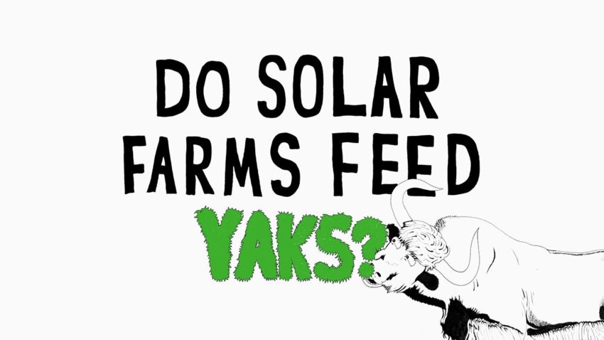 Journée de la Terre