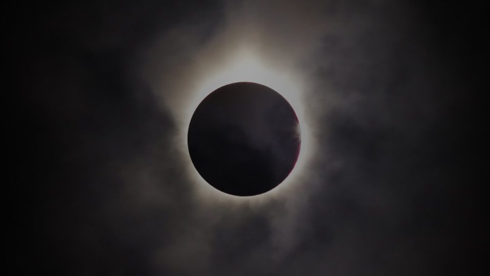 mots les plus recherchés sur Google en 2017