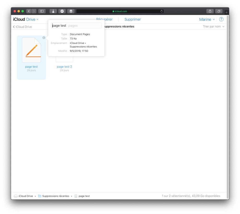 Afficher les informations d'un fichier iCloud Drive supprimé récemment