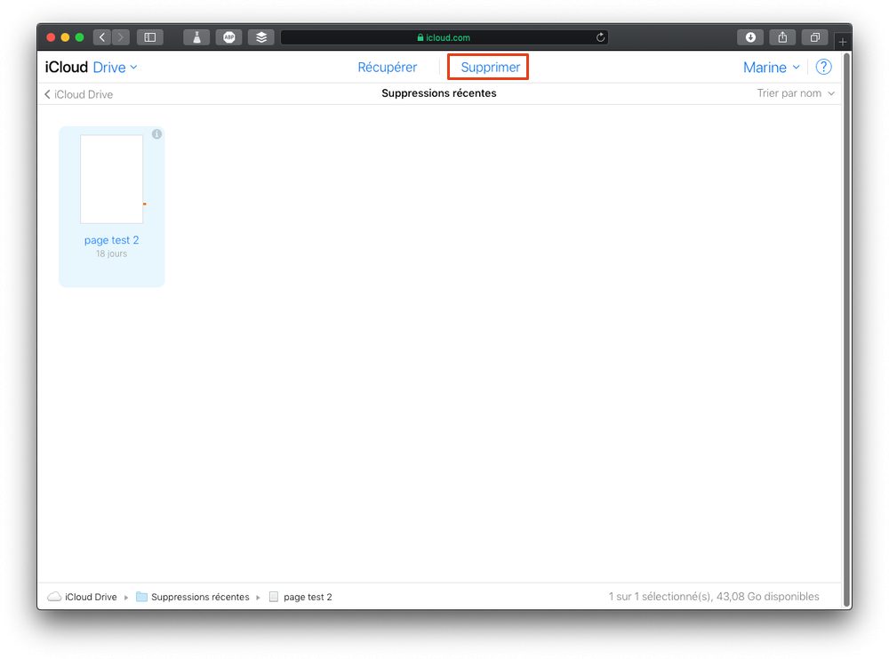 Supprimer définitivement le fichier iCloud sélectionné