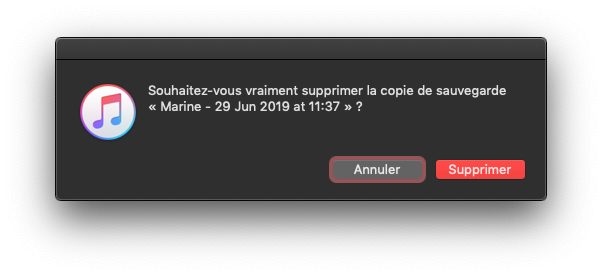 Valider la suppression d'une sauvegarde