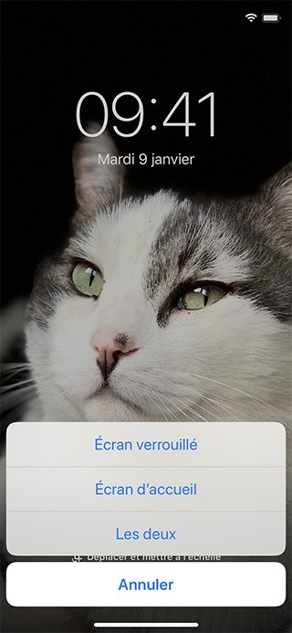 Définir un fond d'écran dans Photos
