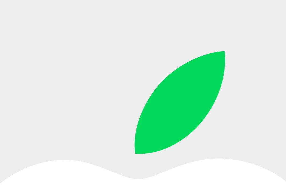 Apple Pay