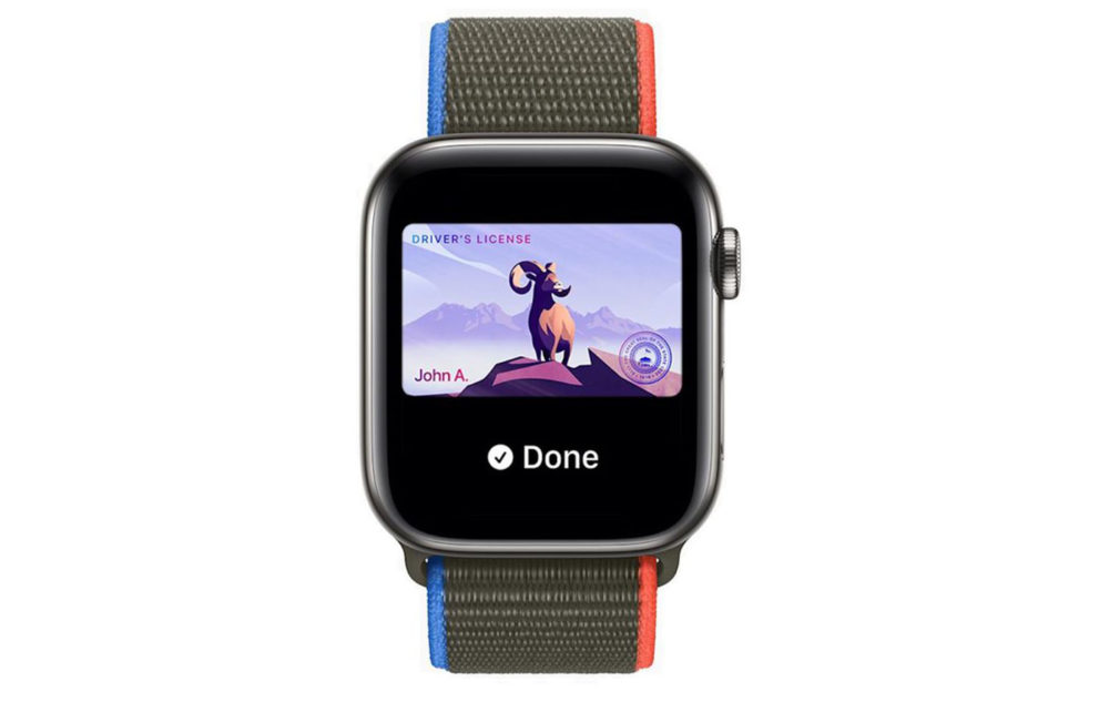 watchOS 8.1