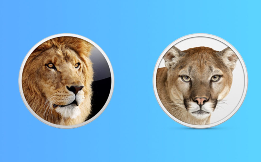 Mountain Lion