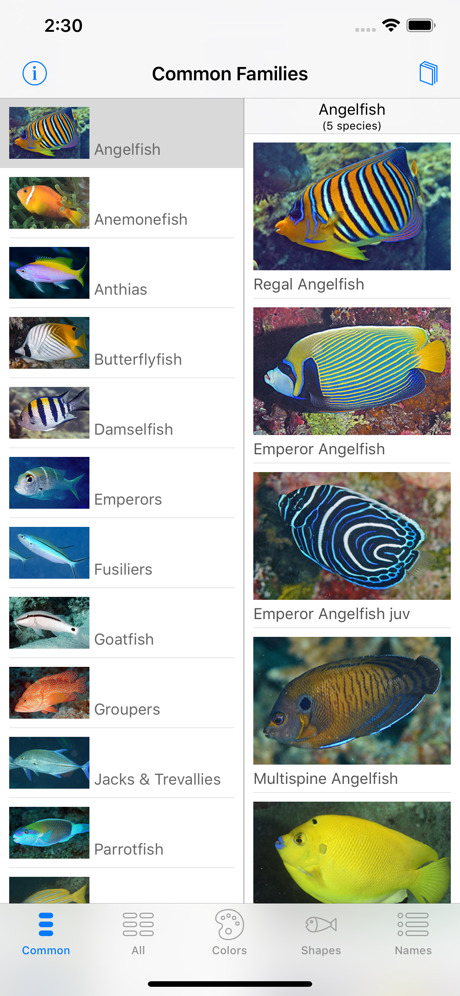 460x0w 1 16 Bons plans App Store du 15/02/2024