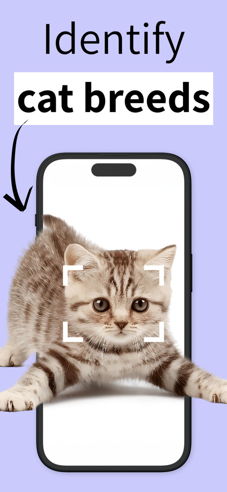 460x0w 3 3 Bons plans App Store du 06/06/2025