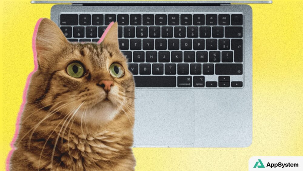 Chat devant le clavier et le trackpad d’un MacBook